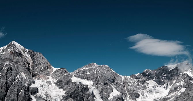 Virtual Nutrition Services