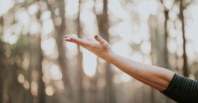 Virtual Personal Training Services